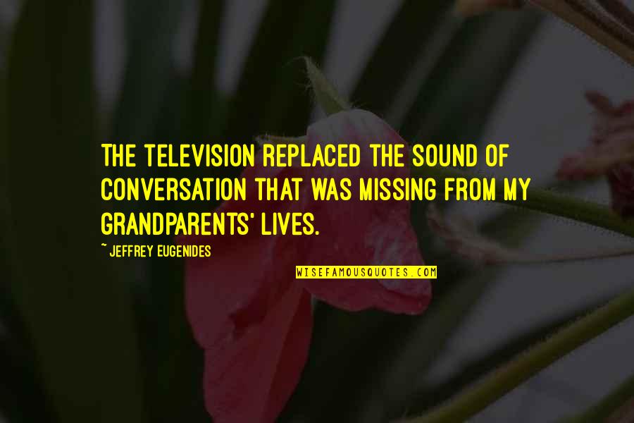 Excellence From The Bible Quotes By Jeffrey Eugenides: The television replaced the sound of conversation that