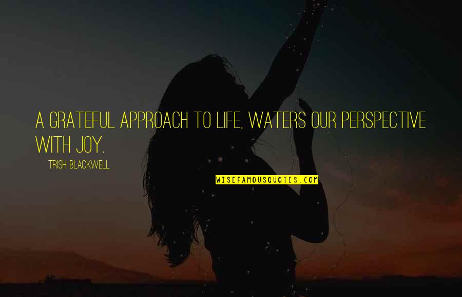 Excellence In Business Quotes By Trish Blackwell: A grateful approach to life, waters our perspective