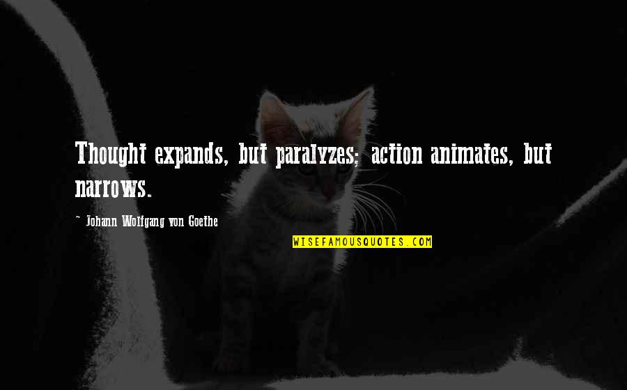 Excellent Care Quotes By Johann Wolfgang Von Goethe: Thought expands, but paralyzes; action animates, but narrows.