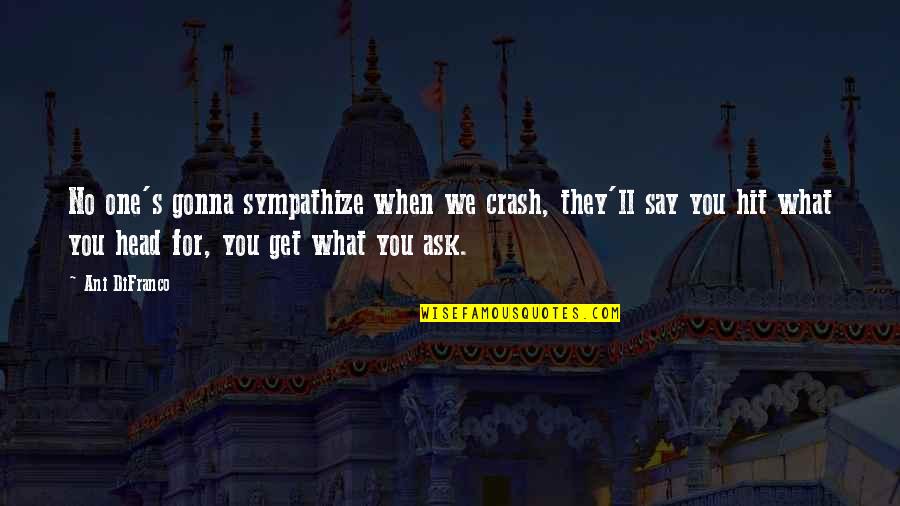 Excellent Communication Skills Quotes By Ani DiFranco: No one's gonna sympathize when we crash, they'll