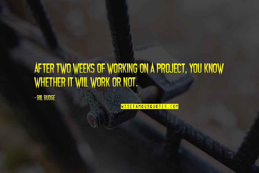 Excellent Work Done Quotes By Bill Budge: After two weeks of working on a project,