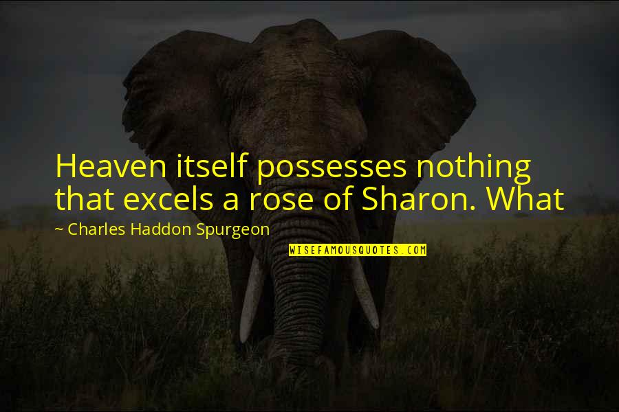 Excels Quotes By Charles Haddon Spurgeon: Heaven itself possesses nothing that excels a rose