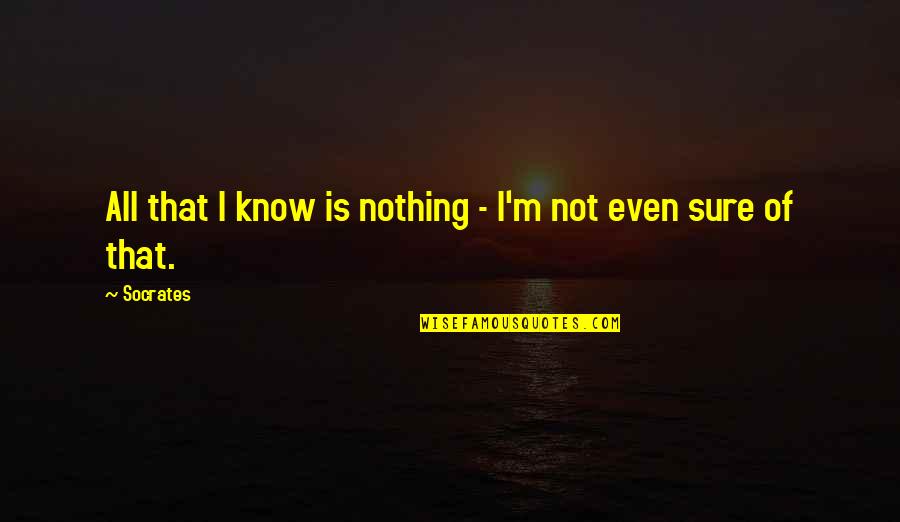Excelsis Pharmaceuticals Quotes By Socrates: All that I know is nothing - I'm