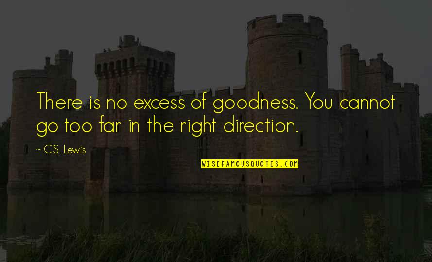 Excess Quotes By C.S. Lewis: There is no excess of goodness. You cannot