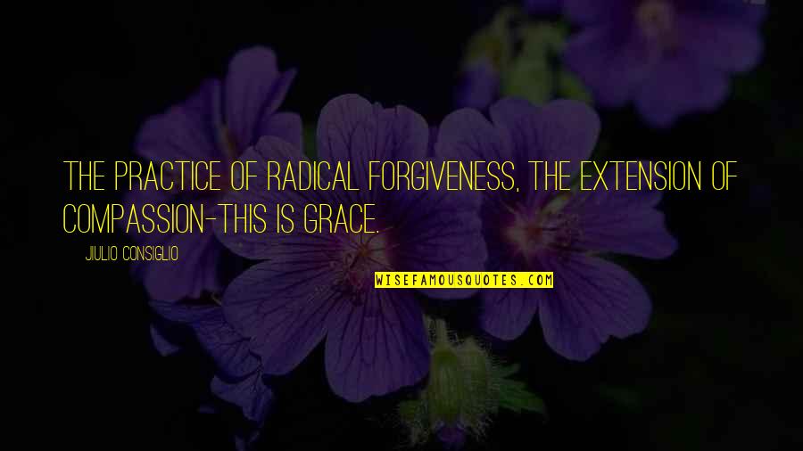 Excesses Def Quotes By Jiulio Consiglio: The practice of radical forgiveness, the extension of