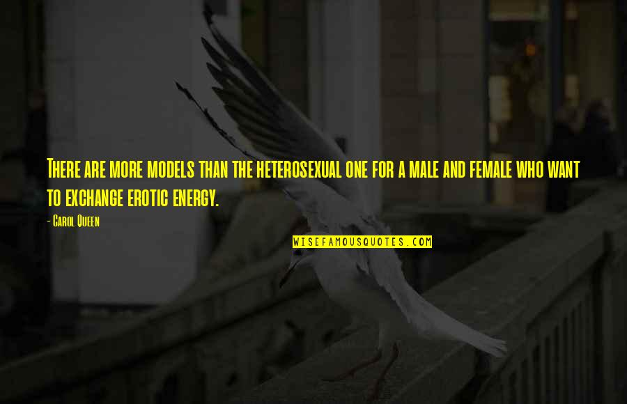 Exchange Of Energy Quotes By Carol Queen: There are more models than the heterosexual one Exchange Of Energy Quotes By Carol Queen: There are more models than the heterosexual one