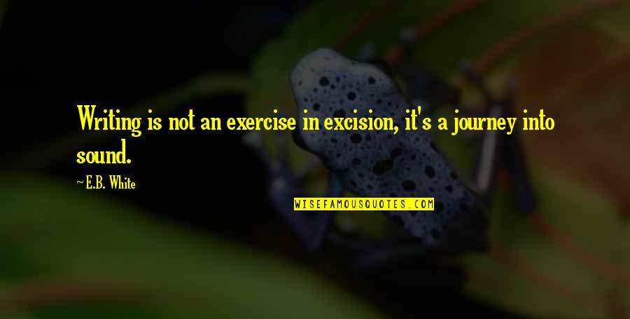 Excision Quotes By E.B. White: Writing is not an exercise in excision, it's