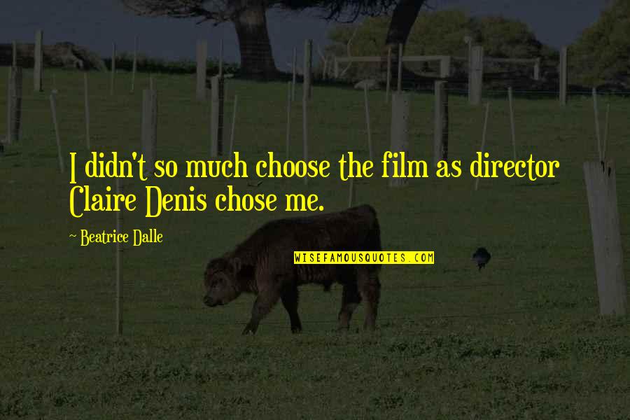 Excision Repair Quotes By Beatrice Dalle: I didn't so much choose the film as