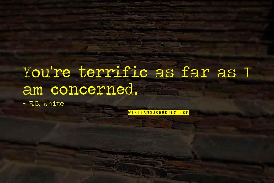 Excite Stock Quotes By E.B. White: You're terrific as far as I am concerned.