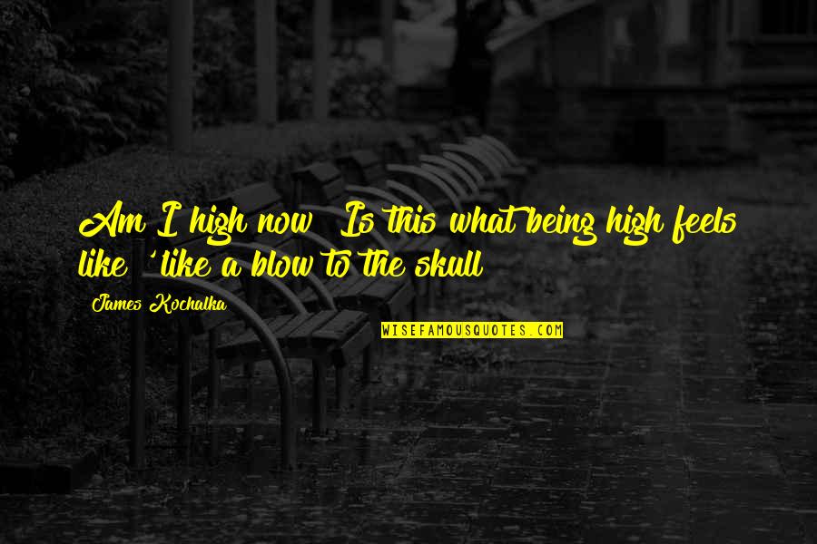 Excited About New Job Quotes By James Kochalka: Am I high now? Is this what being