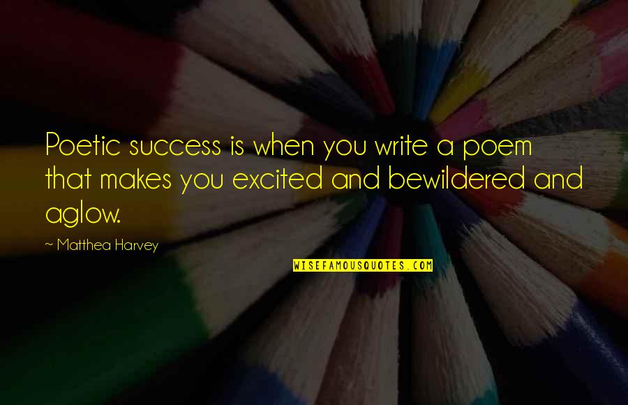 Excited As A Quotes By Matthea Harvey: Poetic success is when you write a poem