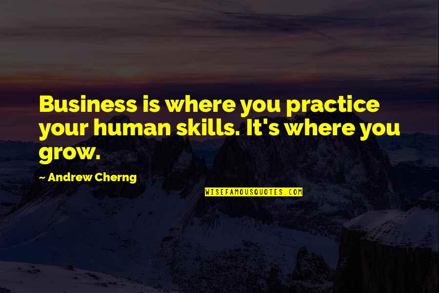 Excited To See Him Quotes By Andrew Cherng: Business is where you practice your human skills.
