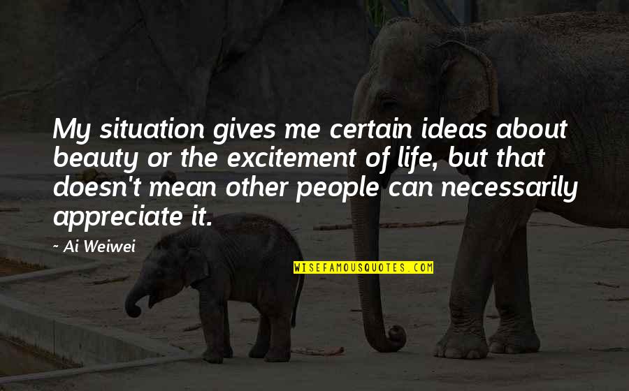 Excitement In My Life Quotes By Ai Weiwei: My situation gives me certain ideas about beauty