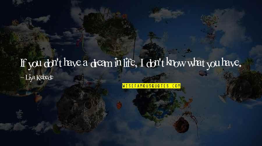 Exciting Life Quotes By Liya Kebede: If you don't have a dream in life,