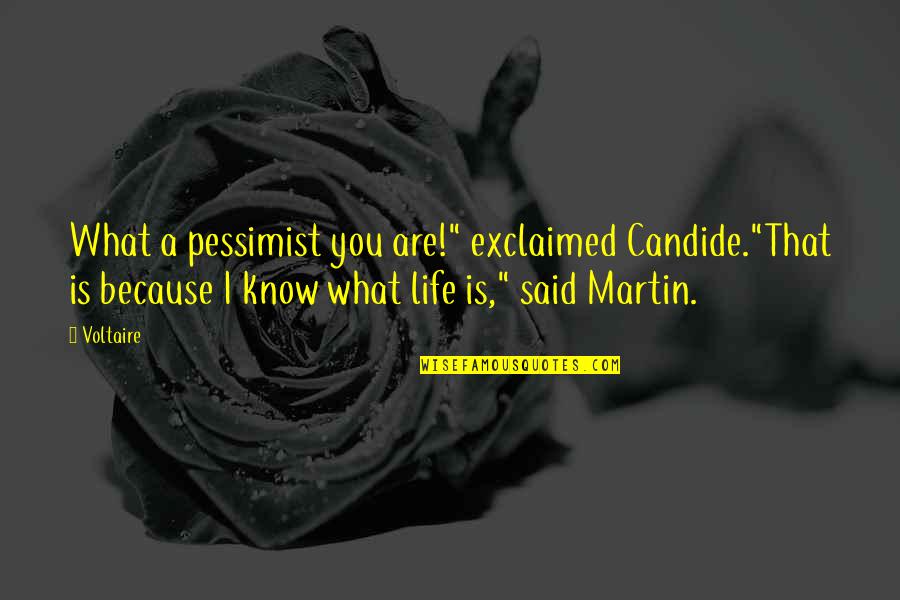 Exclaimed Quotes By Voltaire: What a pessimist you are!" exclaimed Candide."That is