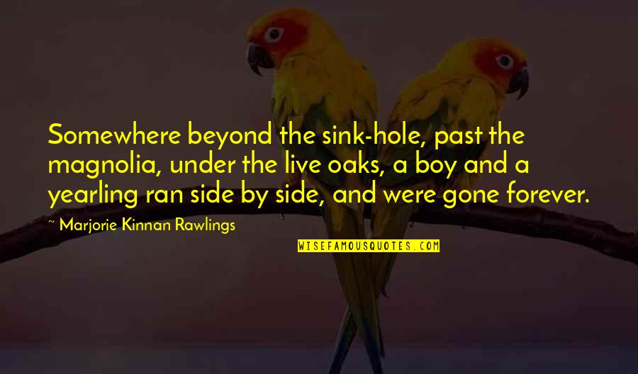 Exclairs Quotes By Marjorie Kinnan Rawlings: Somewhere beyond the sink-hole, past the magnolia, under