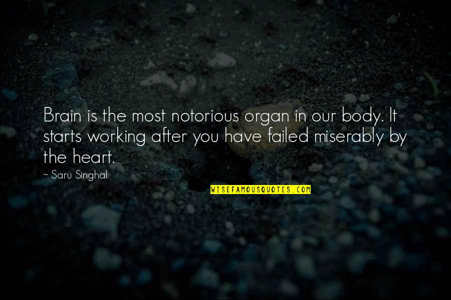 Exclamacion Signo Quotes By Saru Singhal: Brain is the most notorious organ in our Exclamacion Signo Quotes By Saru Singhal: Brain is the most notorious organ in our