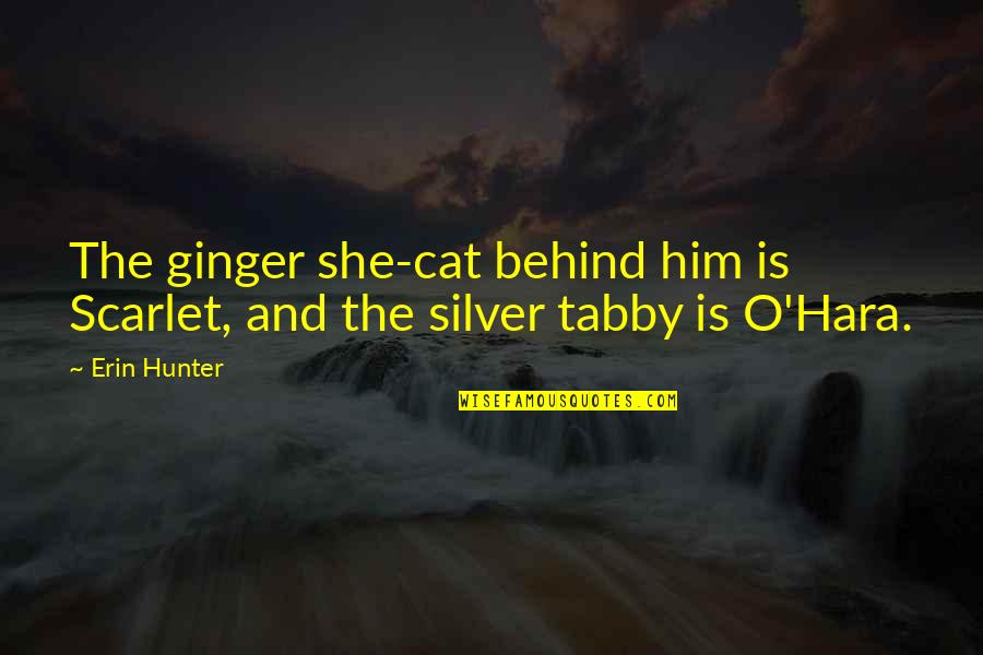 Excoriated Quotes By Erin Hunter: The ginger she-cat behind him is Scarlet, and