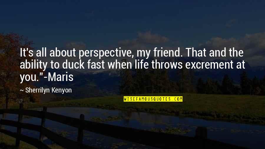 Excrement Quotes By Sherrilyn Kenyon: It's all about perspective, my friend. That and