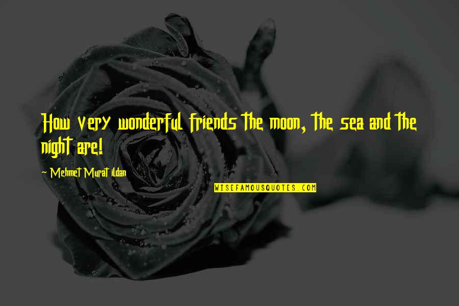 Excruciations Quotes By Mehmet Murat Ildan: How very wonderful friends the moon, the sea