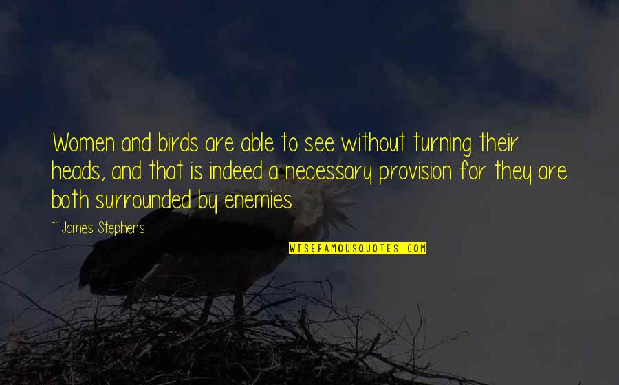 Excursions In St Quotes By James Stephens: Women and birds are able to see without