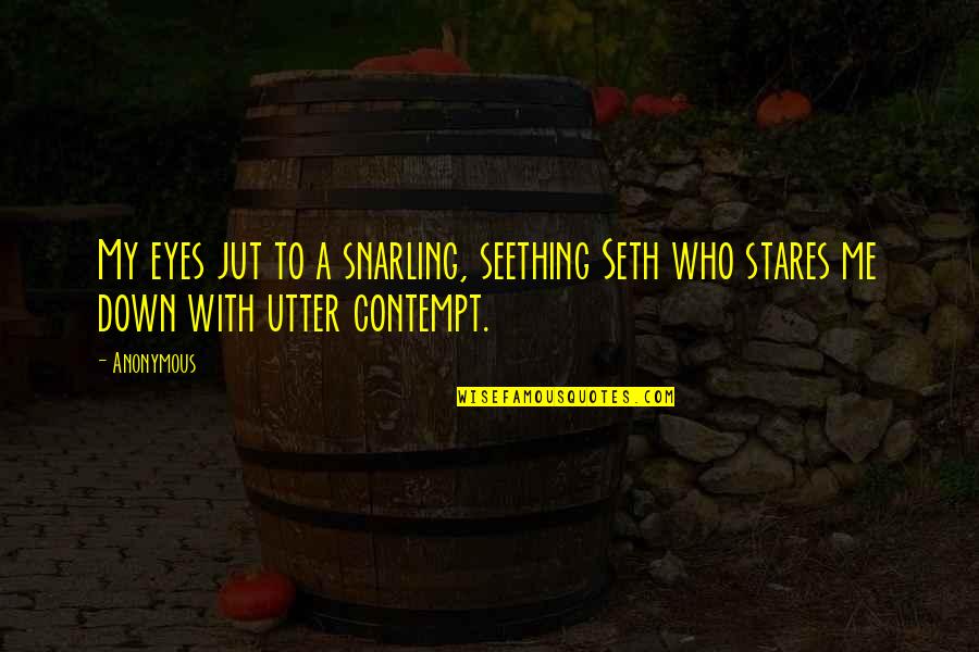 Excusado For Elderly Quotes By Anonymous: My eyes jut to a snarling, seething Seth