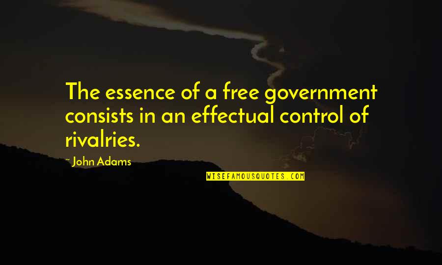 Excuse The Pun Quotes By John Adams: The essence of a free government consists in