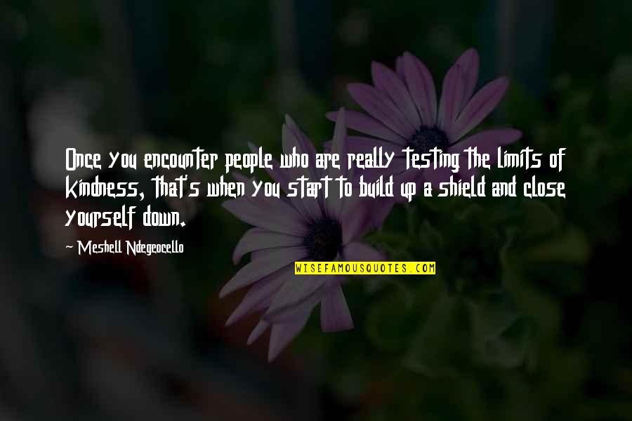 Excuses And Failure Quotes By Meshell Ndegeocello: Once you encounter people who are really testing