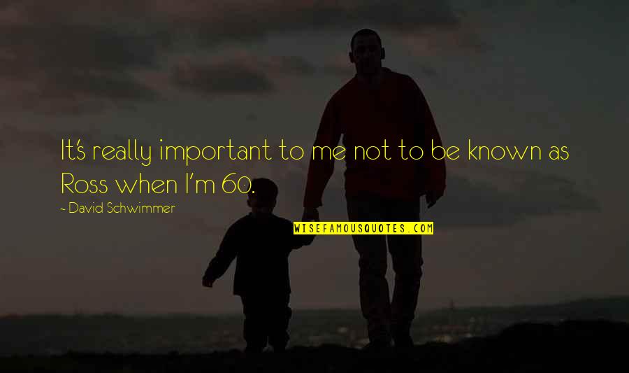 Exemplifies Quotes By David Schwimmer: It's really important to me not to be