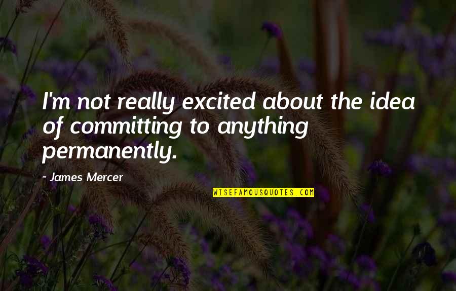 Exemplu Plan Quotes By James Mercer: I'm not really excited about the idea of