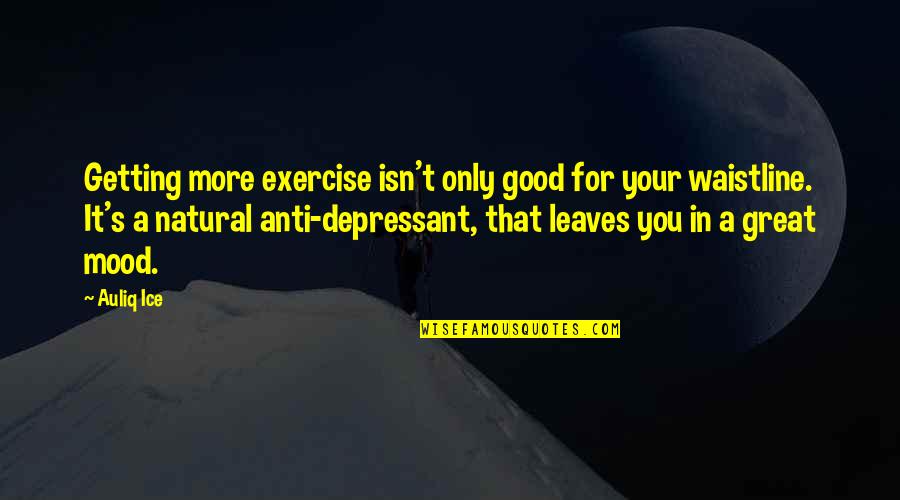 Exercise And Fitness Quotes By Auliq Ice: Getting more exercise isn't only good for your