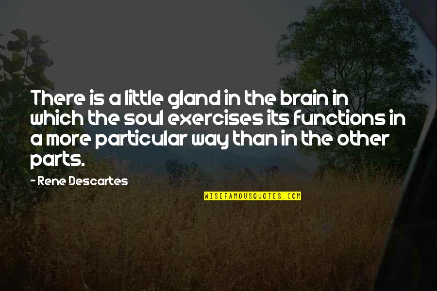 Exercise And The Brain Quotes By Rene Descartes: There is a little gland in the brain