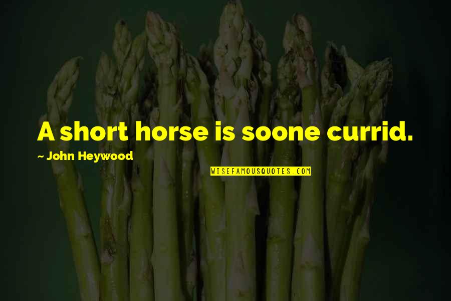 Exercise Body And Mind Quotes By John Heywood: A short horse is soone currid. Exercise Body And Mind Quotes By John Heywood: A short horse is soone currid.