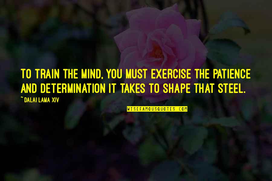 Exercise Determination Quotes By Dalai Lama XIV: To train the mind, you must exercise the