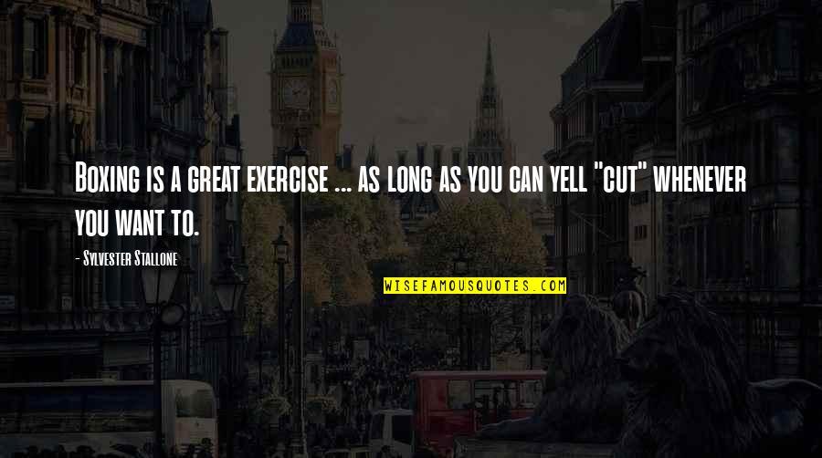 Exercise Funny Quotes By Sylvester Stallone: Boxing is a great exercise ... as long
