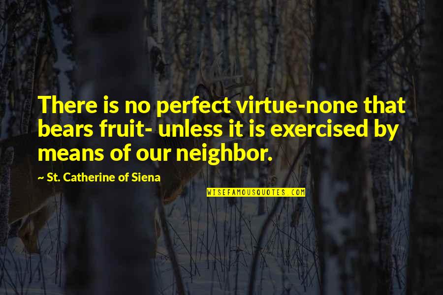 Exercised Quotes By St. Catherine Of Siena: There is no perfect virtue-none that bears fruit-