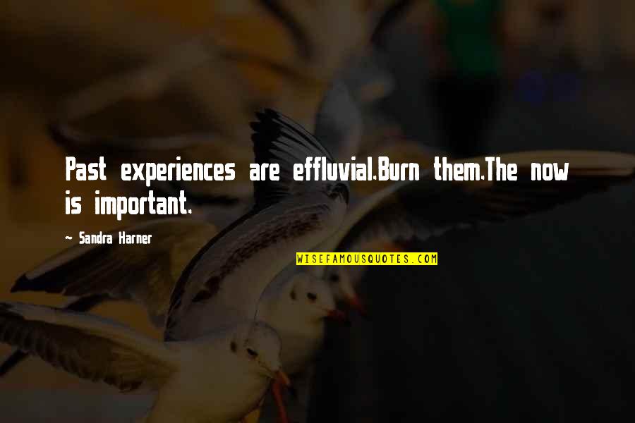 Exerting Effort Quotes By Sandra Harner: Past experiences are effluvial.Burn them.The now is important.