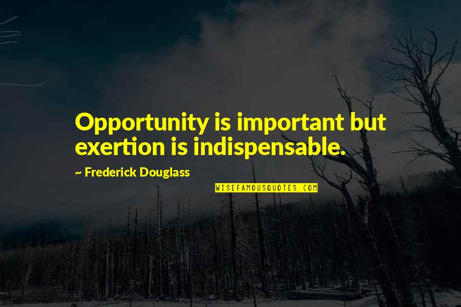 Exertion Quotes By Frederick Douglass: Opportunity is important but exertion is indispensable.