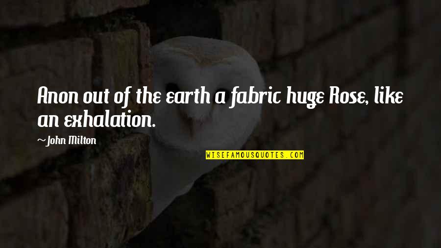 Exhalation Quotes By John Milton: Anon out of the earth a fabric huge