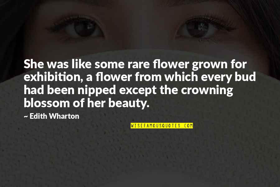 Exhibition Quotes By Edith Wharton: She was like some rare flower grown for