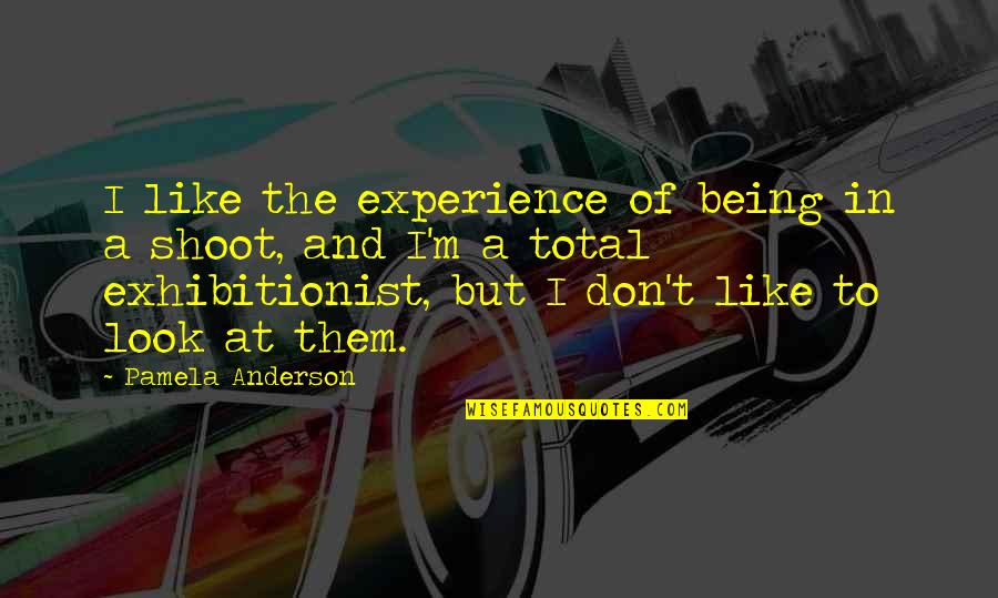 Exhibitionist Quotes By Pamela Anderson: I like the experience of being in a