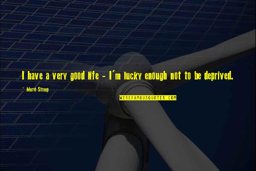 Exhilirated Quotes By Meryl Streep: I have a very good life - I'm