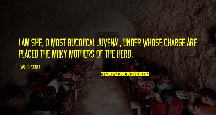 Exhiliration Quotes By Walter Scott: I am she, O most bucolical juvenal, under Exhiliration Quotes By Walter Scott: I am she, O most bucolical juvenal, under