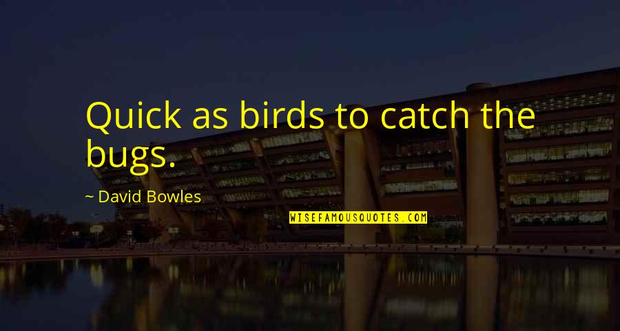 Exhortation Quotes By David Bowles: Quick as birds to catch the bugs.
