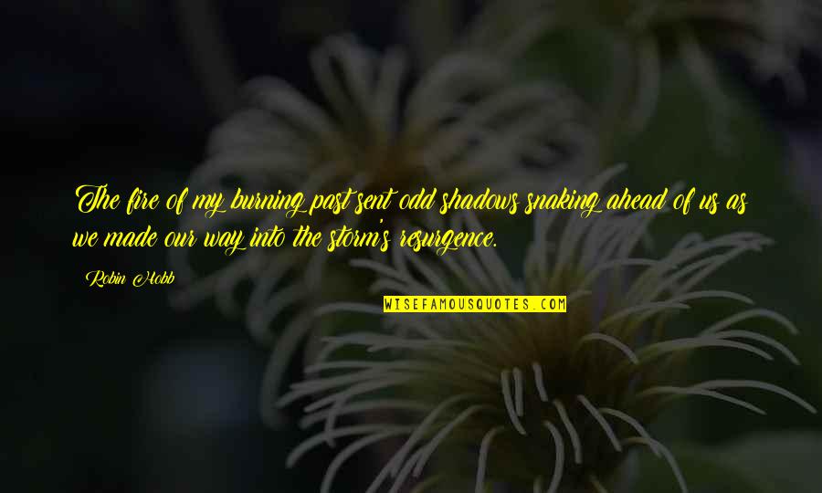 Exhortative Mind Quotes By Robin Hobb: The fire of my burning past sent odd Exhortative Mind Quotes By Robin Hobb: The fire of my burning past sent odd