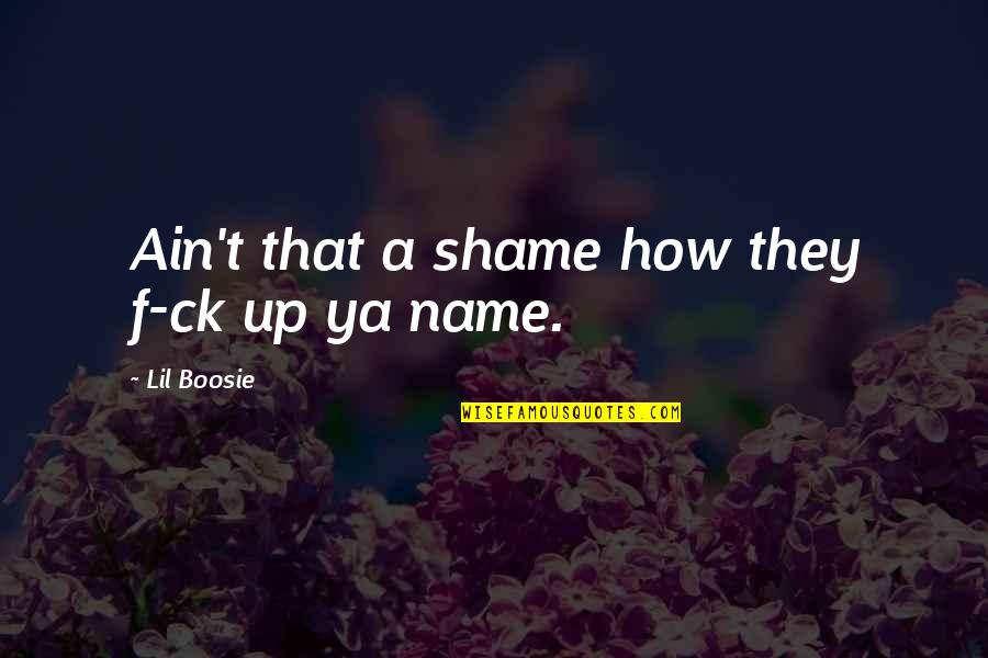 Exigent Quotes By Lil Boosie: Ain't that a shame how they f-ck up