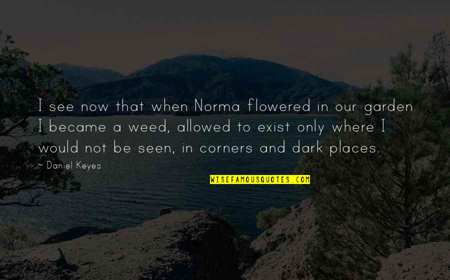 Exist When Quotes By Daniel Keyes: I see now that when Norma flowered in