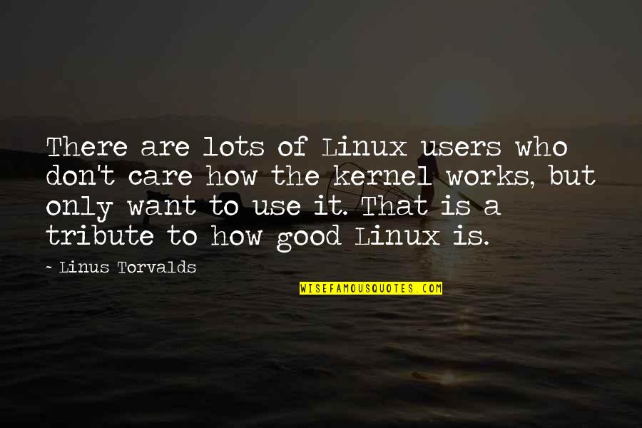 Existance Quotes By Linus Torvalds: There are lots of Linux users who don't