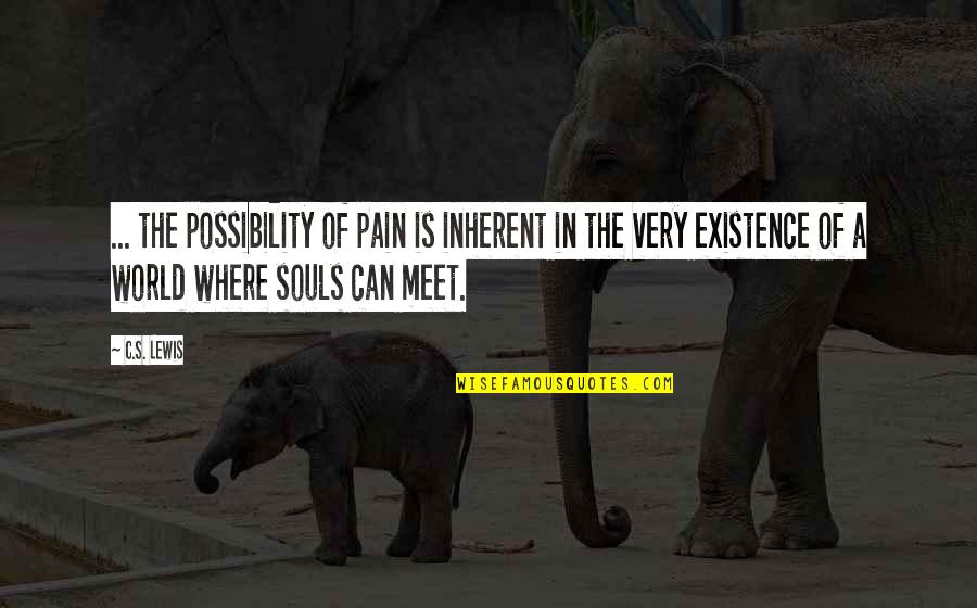 Existence Is Pain Quotes By C.S. Lewis: ... the possibility of pain is inherent in