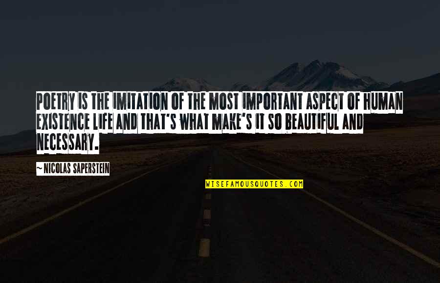 Existence Life Quotes By Nicolas Saperstein: Poetry is the imitation of the most important